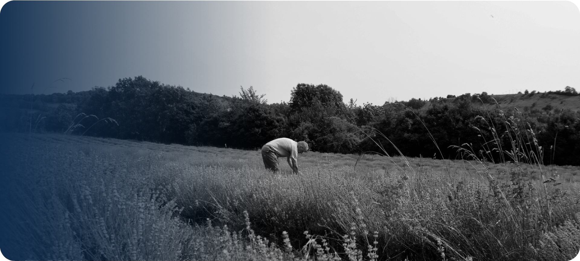 Introduction to Essential Oils