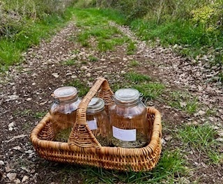 La différence Essenciagua-Vesunna