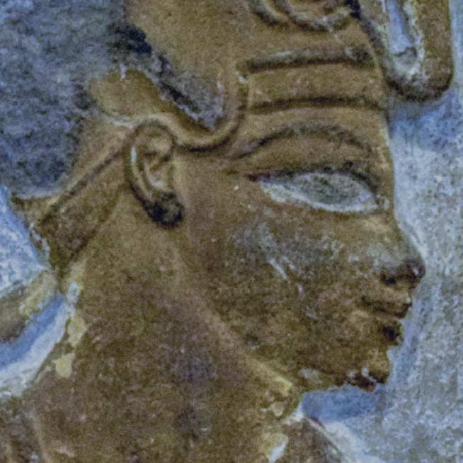 Introduction aux Huiles Essentielles