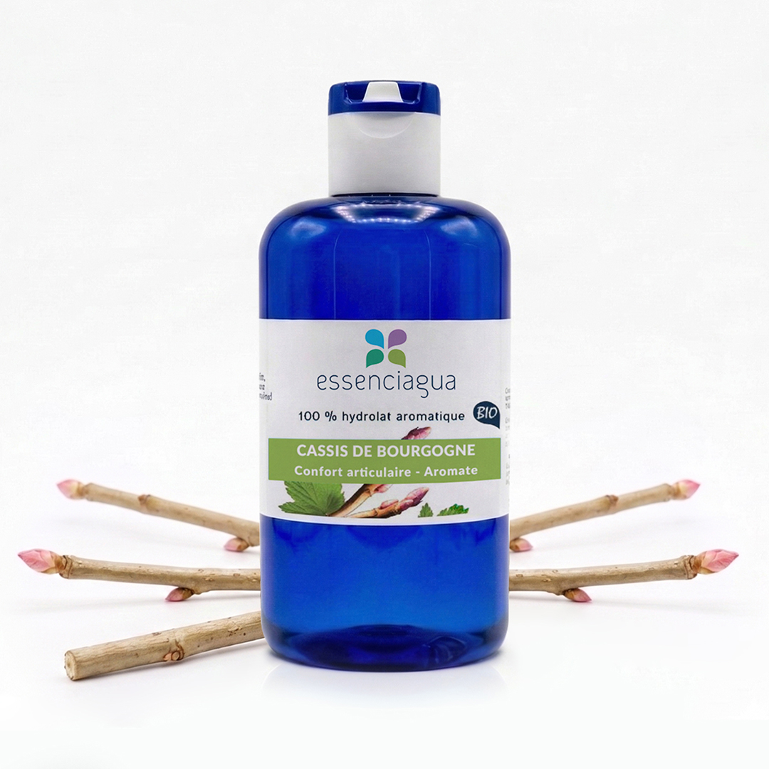 Hidrolato de grosella negra de Borgoña 100% ecológico y artesanal