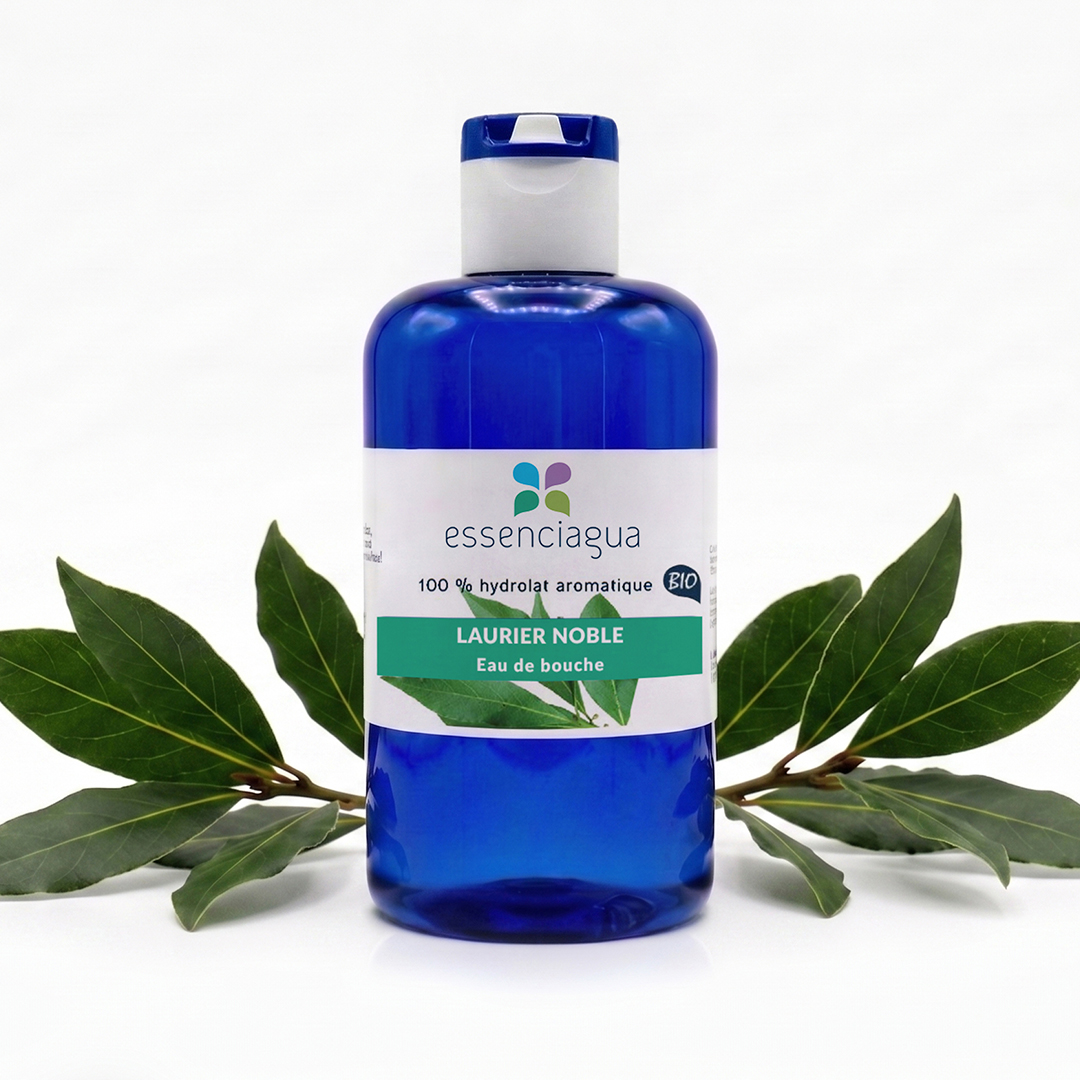 Lorbeerhydrolat 100% Bio und handwerklich hergestellt