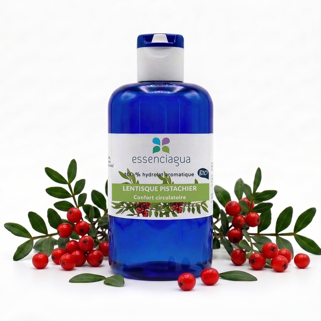 Pistazien-Binsenbaum-Hydrolat 100% Bio und handwerklich hergestellt