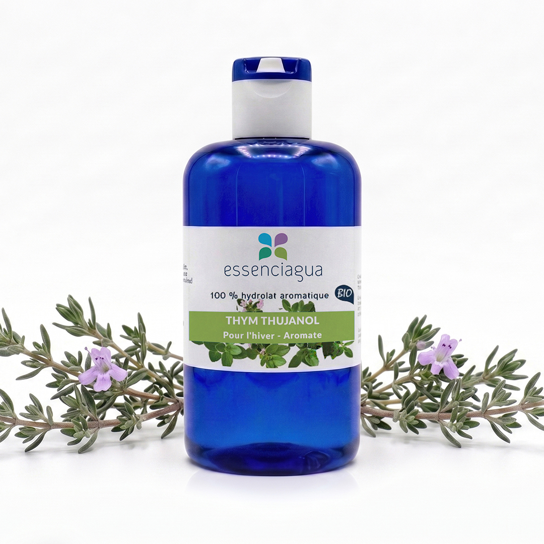 Thyme thujanol hydrolate 100% organic and handcrafted