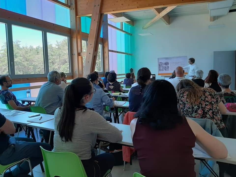 Nuestros cursos de aromaterapia