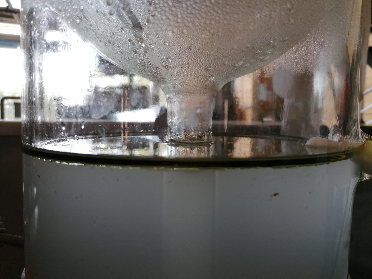 Decouvrez la distillation Hydrolat d'Achillée millefeuille 100% Bio et Artisanal