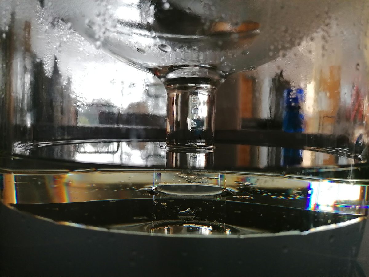 Distillation Angélique graines — photo 2