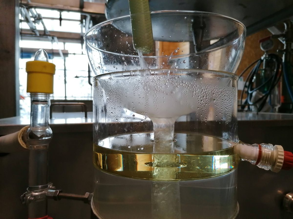 Decouvrez la distillation Huile Essentielle d'Angélique (Racine) 100% Bio et Artisanal