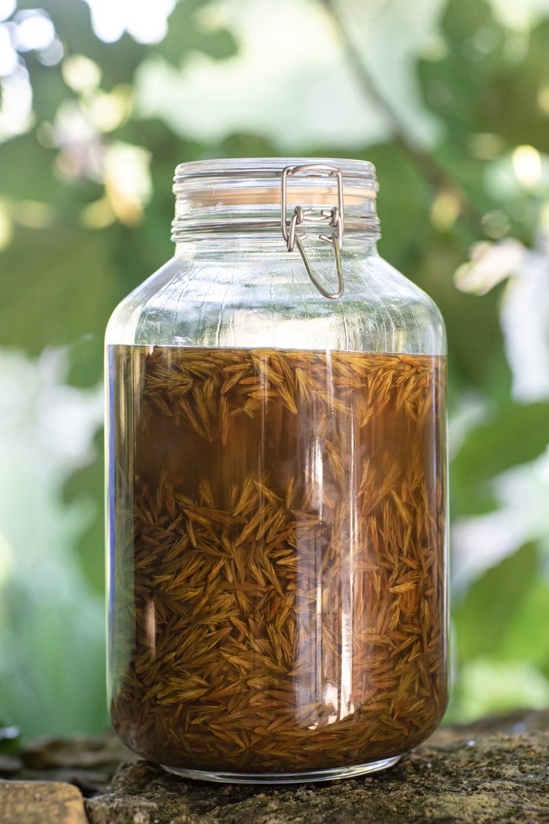 Decouvrez la distillation 100% organic handcrafted raspberry bud macerate