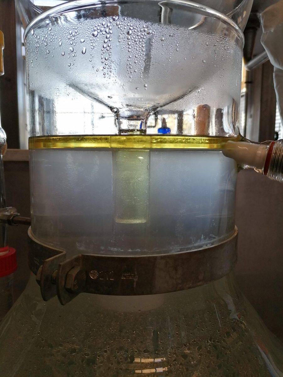 Distillation Carotte sauvage — photo 6