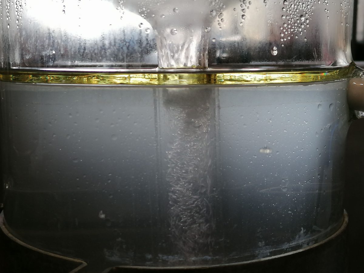 Decouvrez la distillation Huile Essentielle de Cassis de Bourgogne 100% Bio et Artisanal