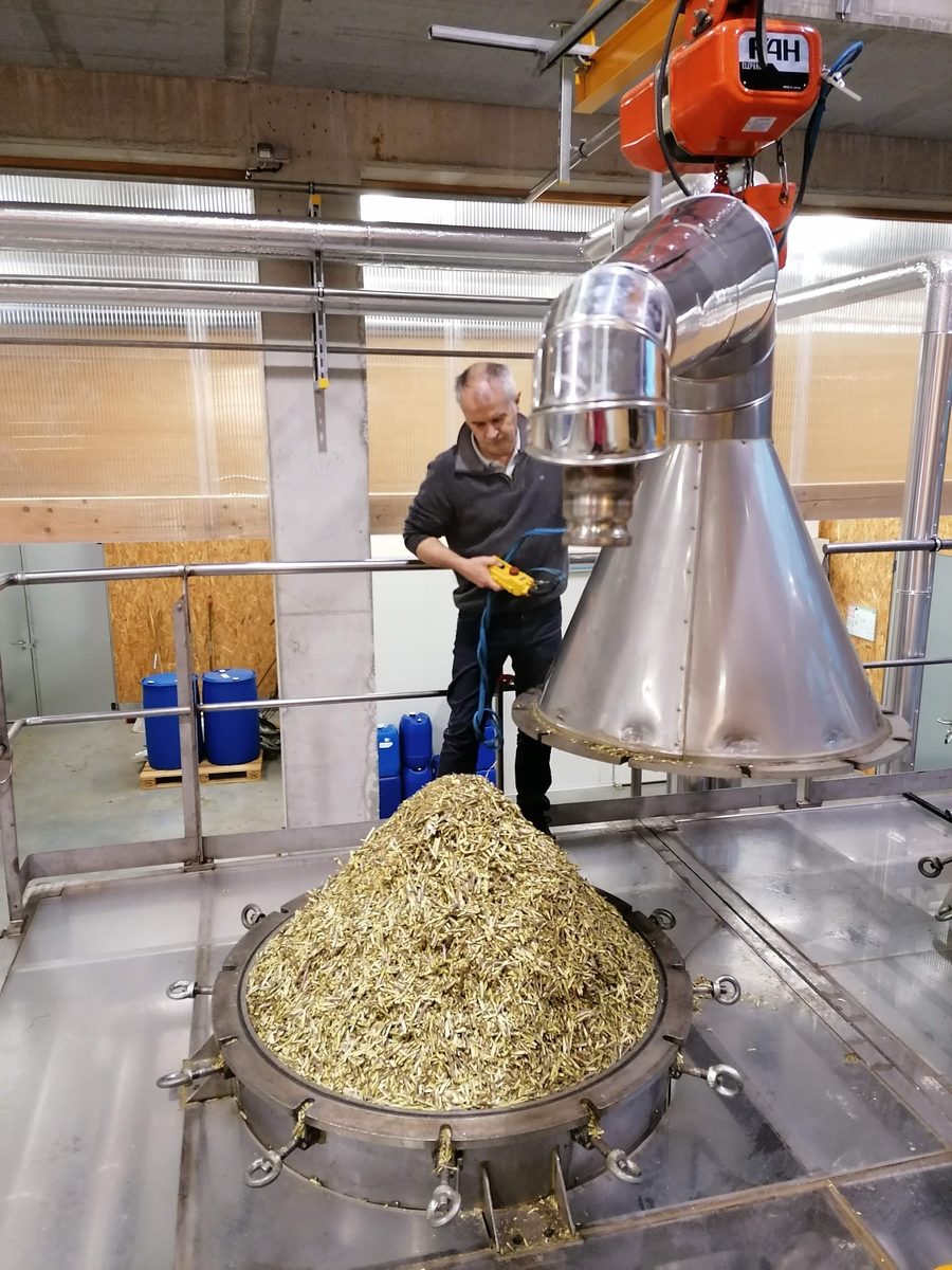 Decouvrez la distillation Huile Essentielle de Cassis de Bourgogne 100% Bio et Artisanal
