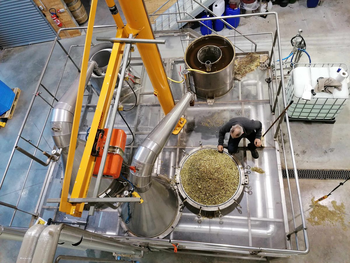 Decouvrez la distillation Huile Essentielle de Cassis de Bourgogne 100% Bio et Artisanal