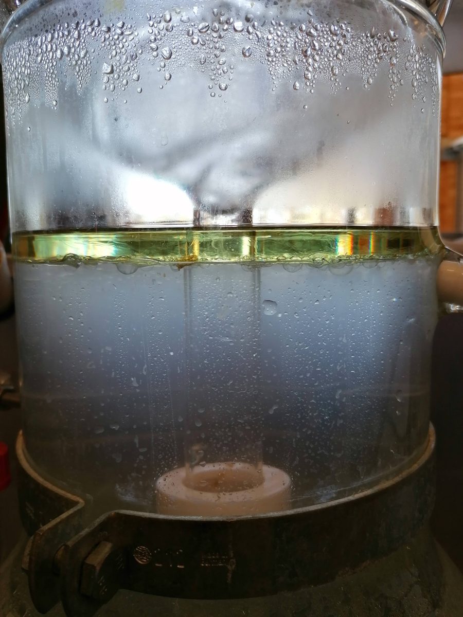 Decouvrez la distillation Huile Essentielle de Cèdre de l'Atlas 100% Bio et Artisanal