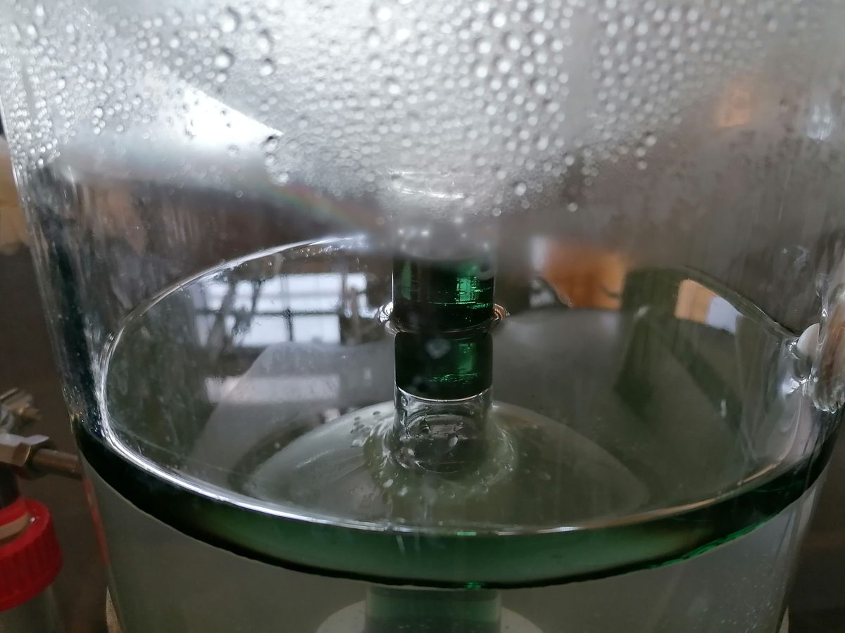 Decouvrez la distillation Hydrolat de Géranium rosat bourbon 100% Bio et Artisanal