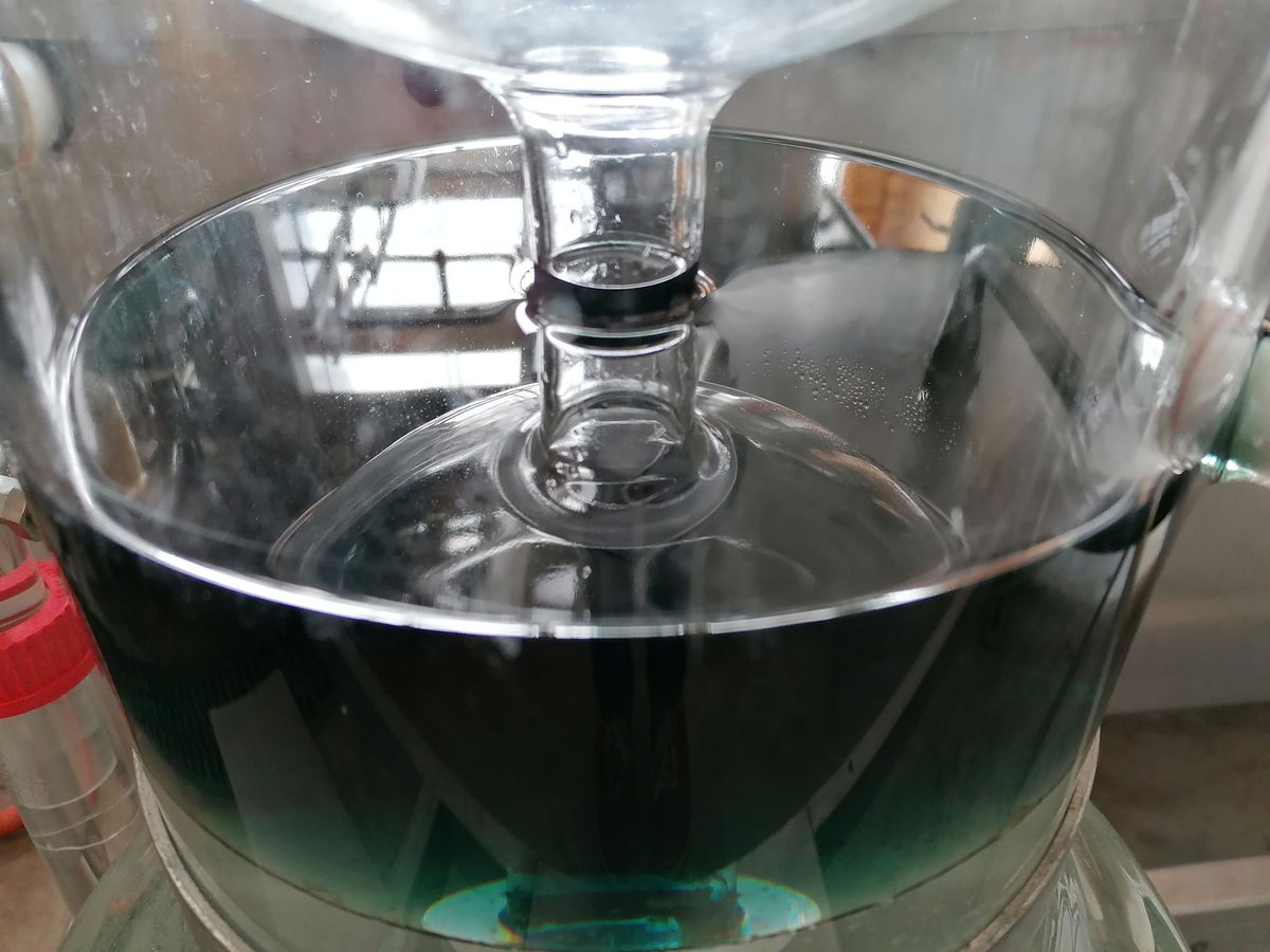 Decouvrez la distillation Hydrolat de Géranium rosat bourbon 100% Bio et Artisanal