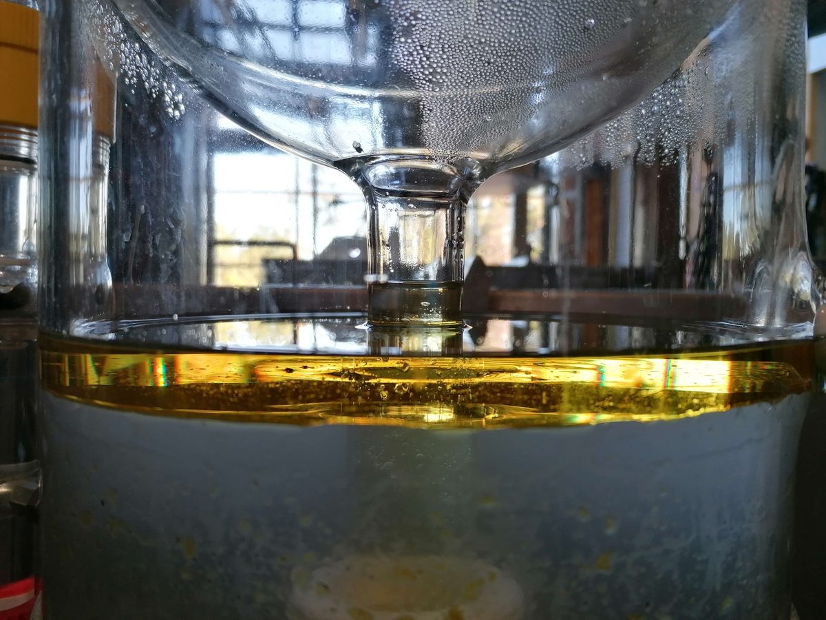 Decouvrez la distillation Huile Essentielle d'Hélichryse Italienne 100% Bio et Artisanal