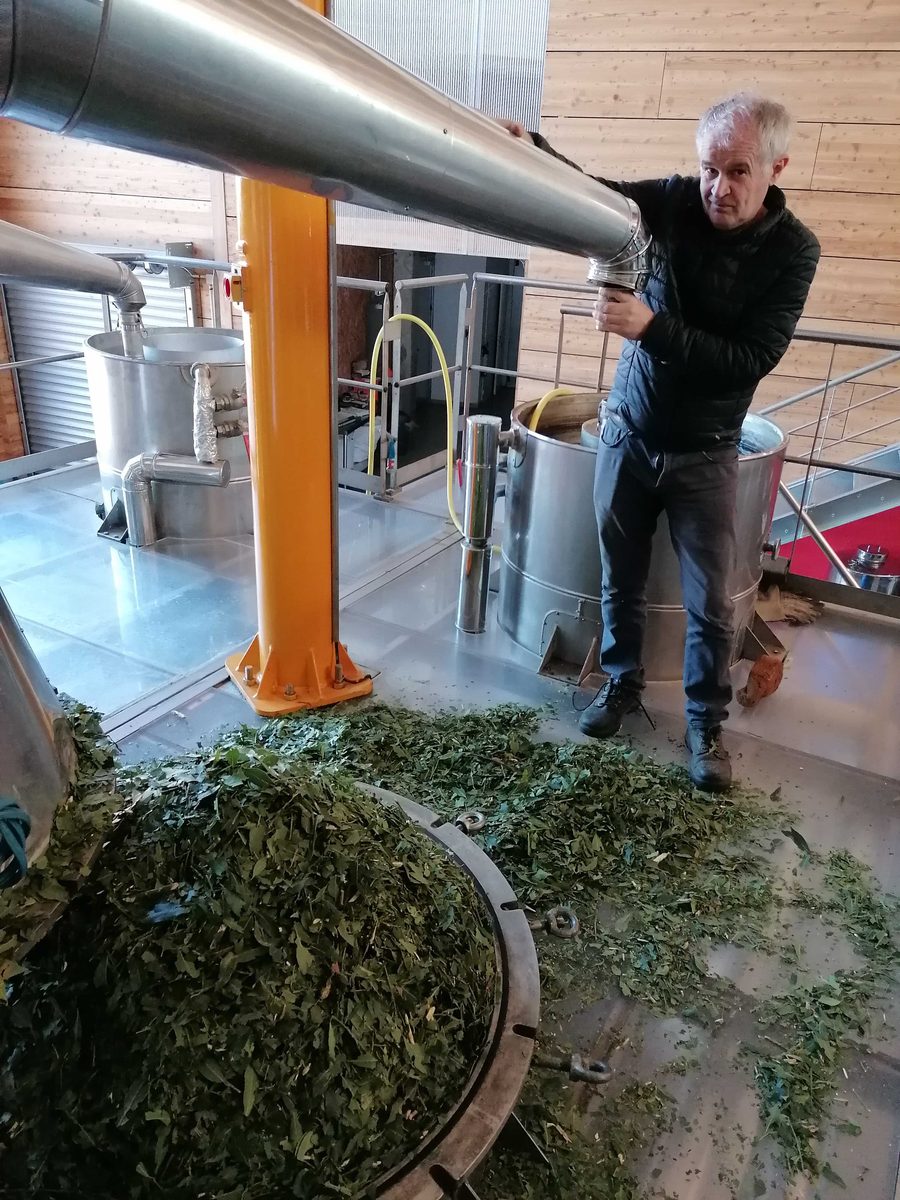 Decouvrez la distillation Hydrolat de Laurier noble 100% Bio et Artisanal