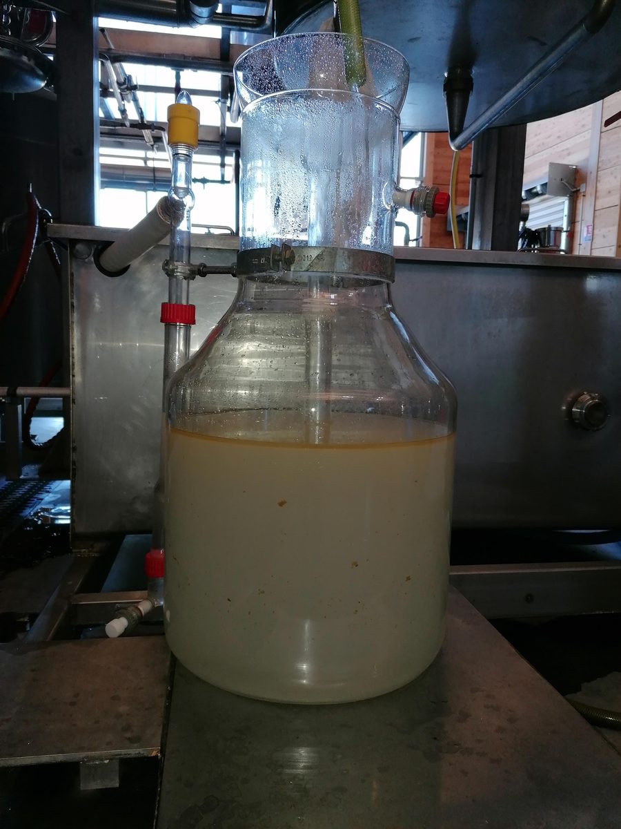 Decouvrez la distillation Hydrolat de Laurier noble 100% Bio et Artisanal