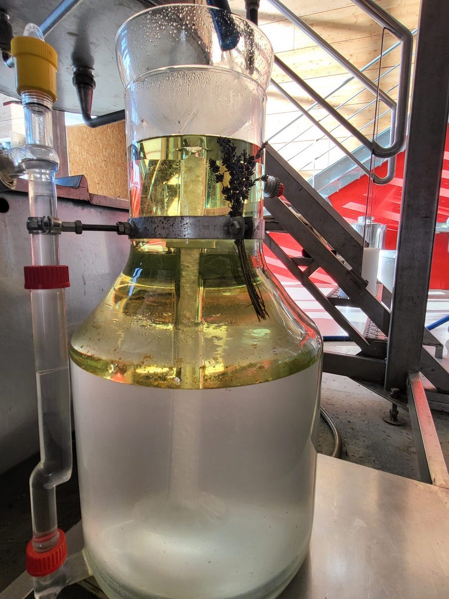 Decouvrez la distillation Huile Essentielle de Lavande officinale 100% Bio et Artisanal