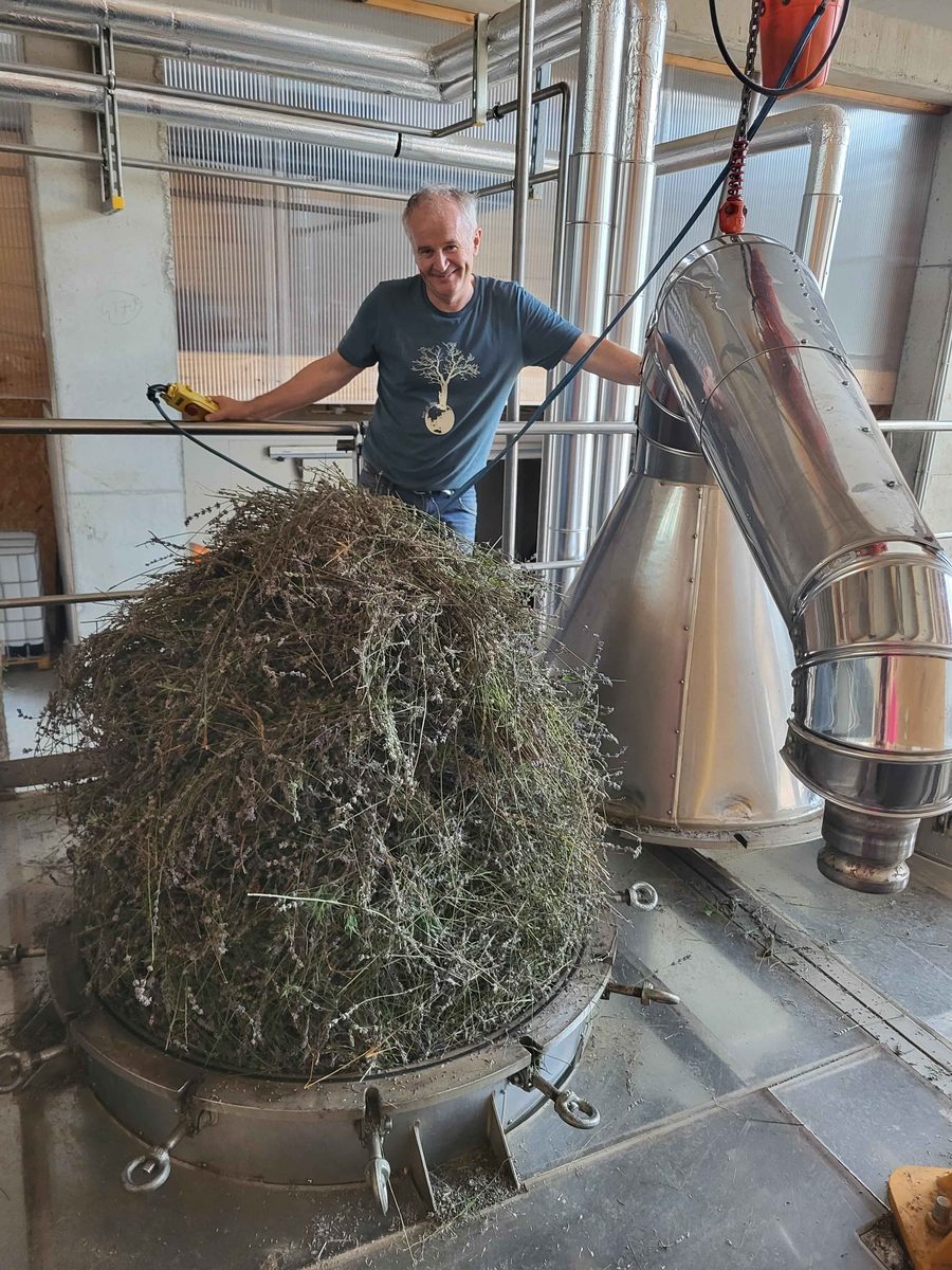 Decouvrez la distillation Huile Essentielle de Lavandin abrial 100% Bio et Artisanal