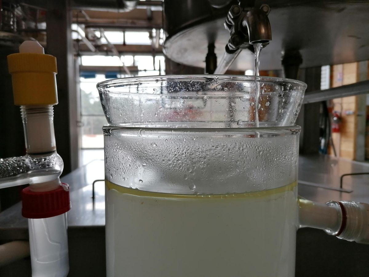 Decouvrez la distillation Huile Essentielle de Livèche (Racine) 100% Bio et Artisanal