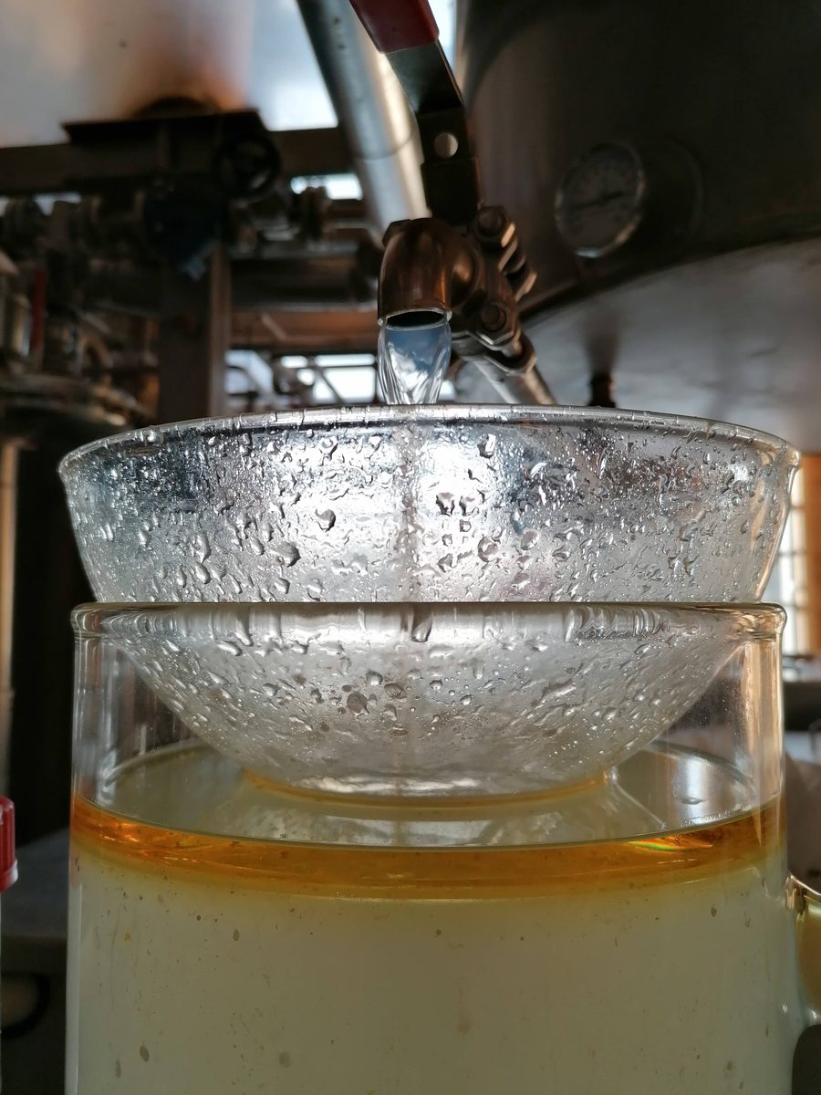Decouvrez la distillation Huile Essentielle de Livèche (Racine) 100% Bio et Artisanal