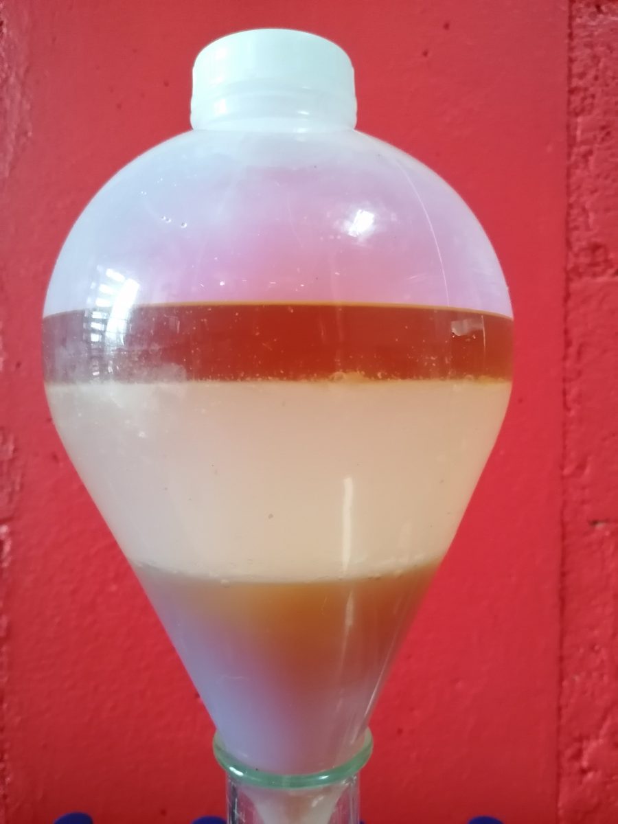 Decouvrez la distillation Huile Essentielle de Livèche (Racine) 100% Bio et Artisanal