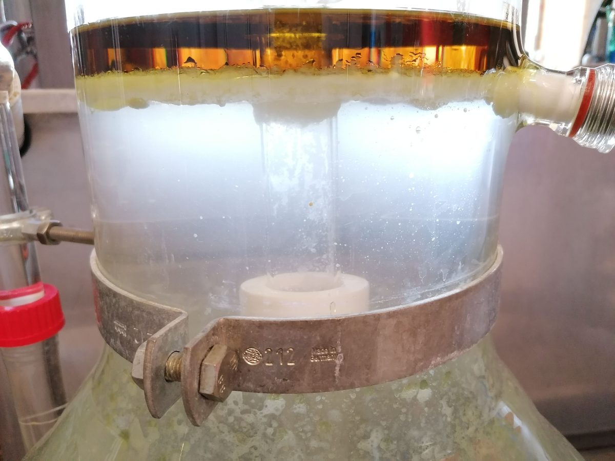 Distillation Larch — photo 3