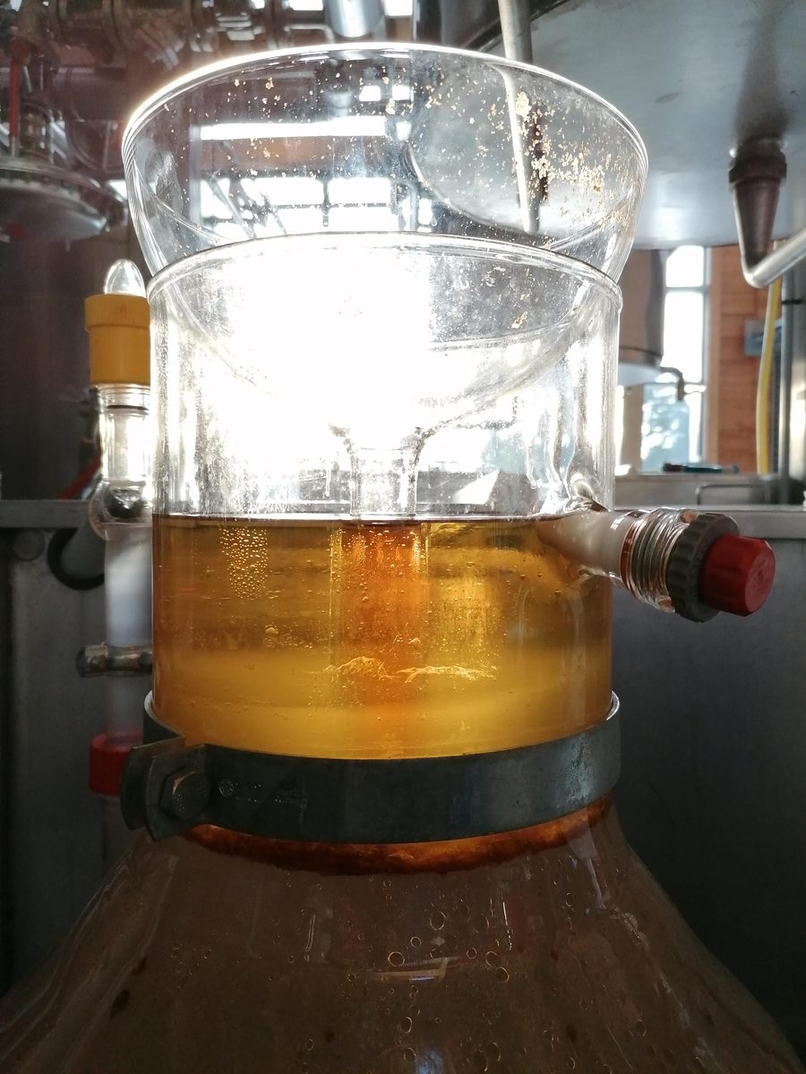 Decouvrez la distillation Hydrolat d'Origan 100% Bio et Artisanal