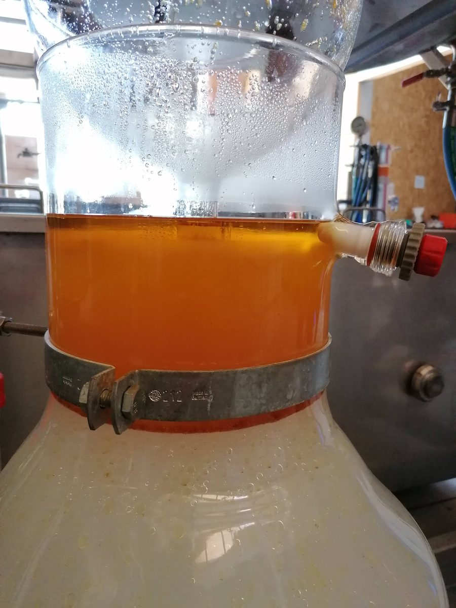 Decouvrez la distillation Hydrolat d'Origan 100% Bio et Artisanal