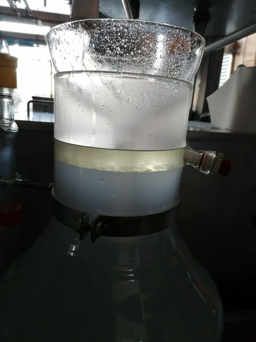 Decouvrez la distillation Huile Essentielle de Pin sylvestre 100% Bio et Artisanal