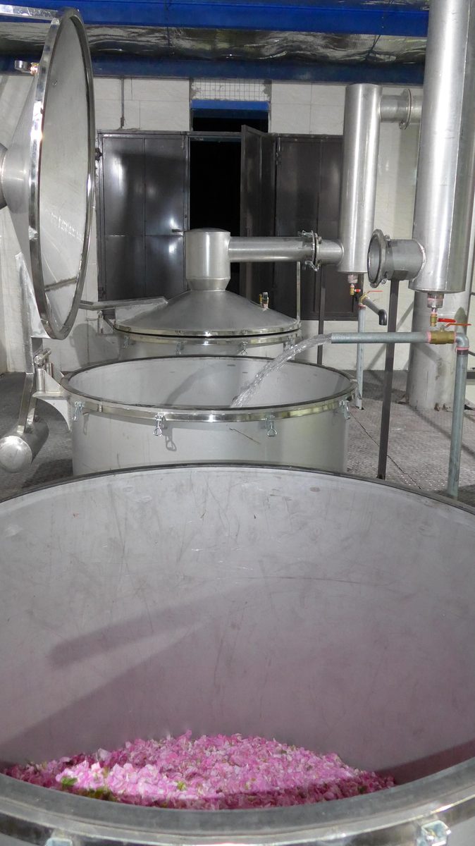 Decouvrez la distillation Huile Essentielle de Rose de Damas 100% Bio et Artisanal