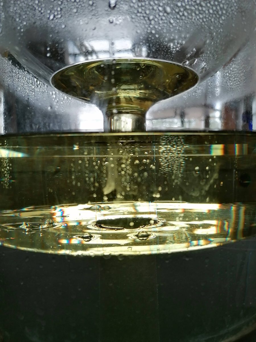 Decouvrez la distillation Hydrolat de Douglas 100% Bio et Artisanal