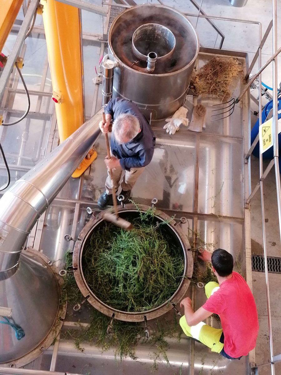 Decouvrez la distillation Huile Essentielle de Sarriette des montagnes 100% Bio et Artisanal