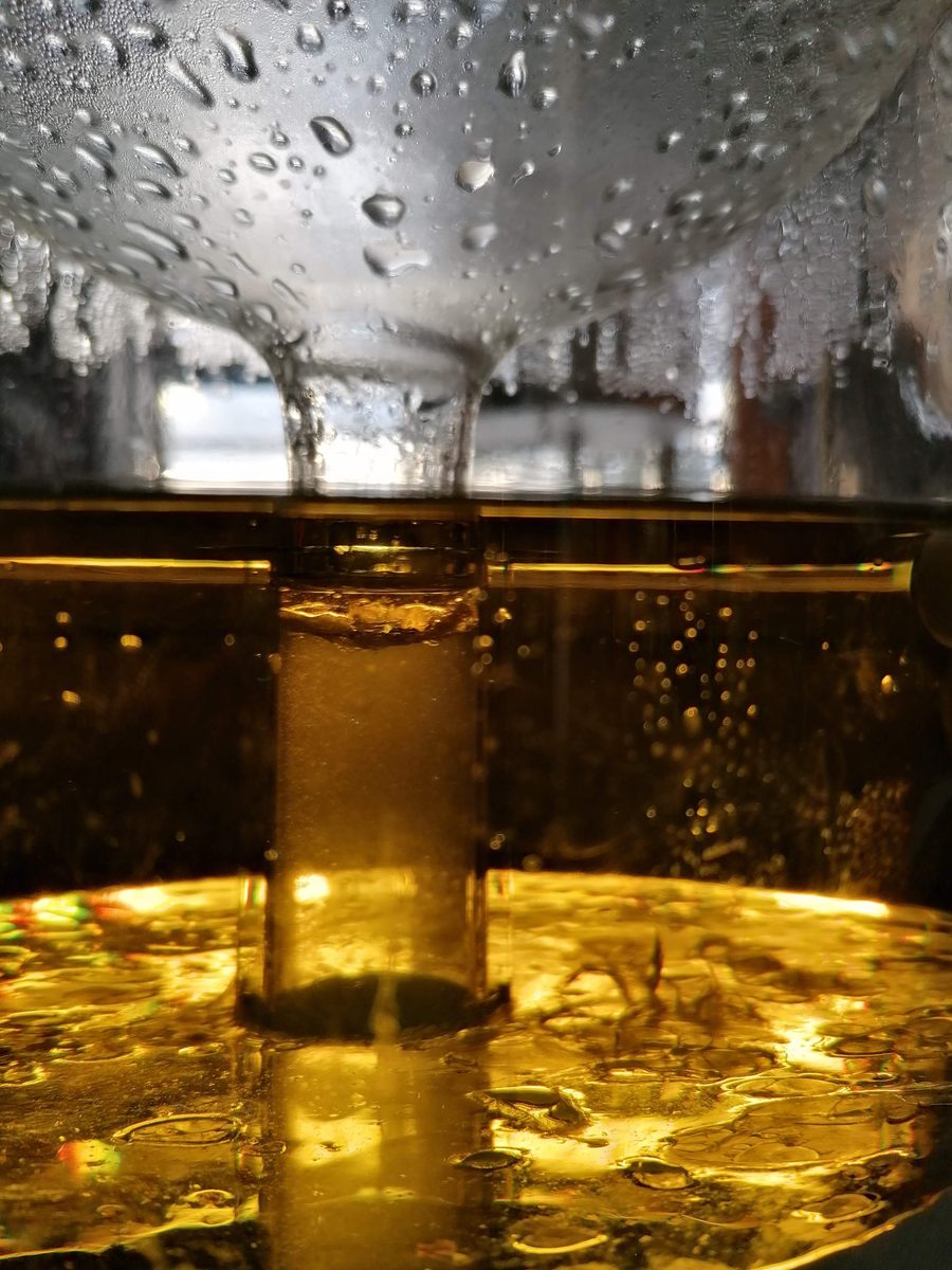 Distillation Sauge officinale — photo 7