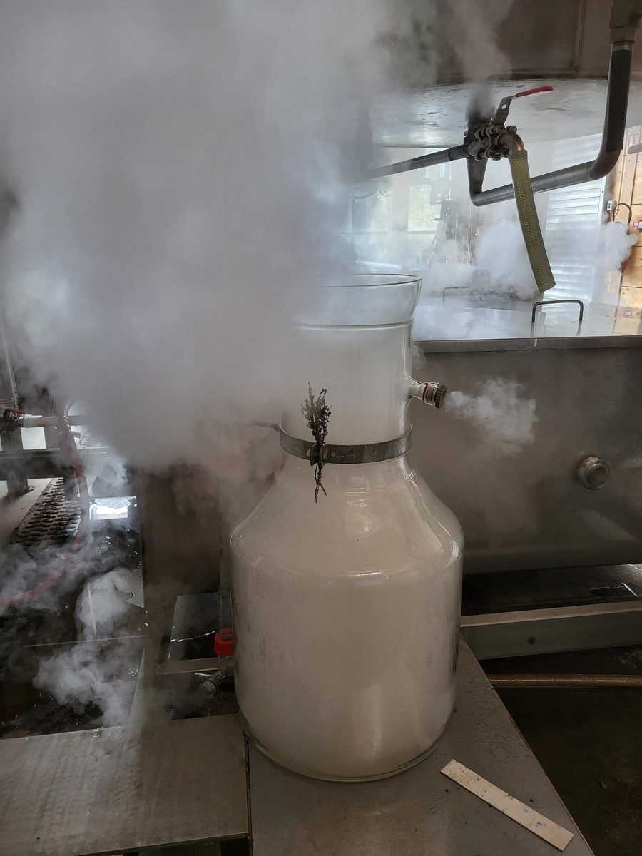 Distillation Thym thymol du Lot — photo 1
