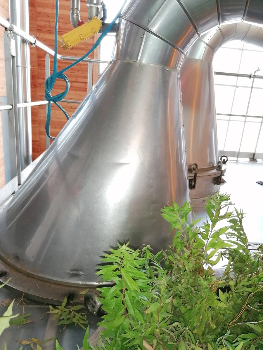 Decouvrez la distillation Huile Essentielle de Verveine citronnée 100% Bio et Artisanal